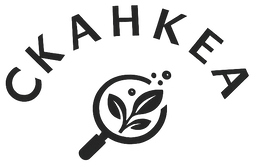 СканКеа